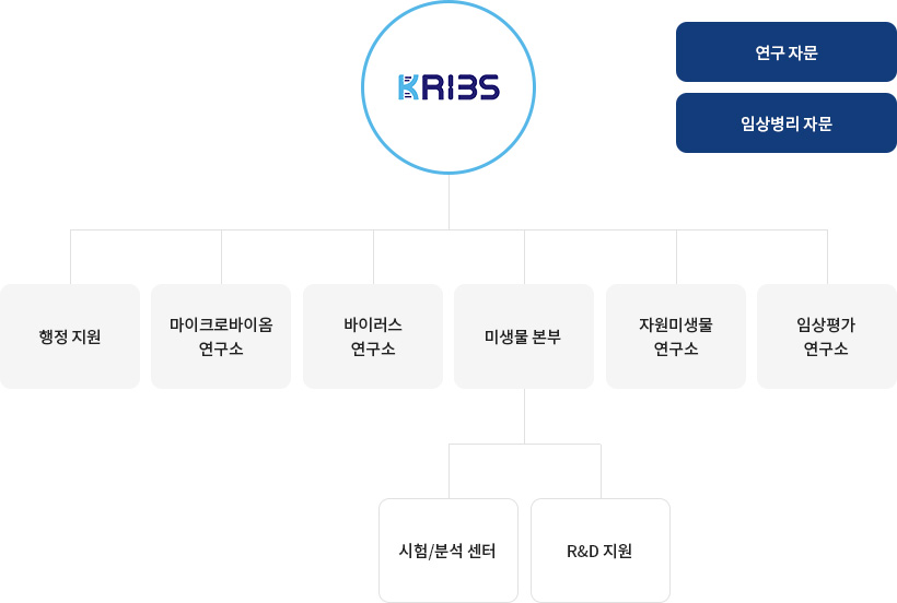 조직도